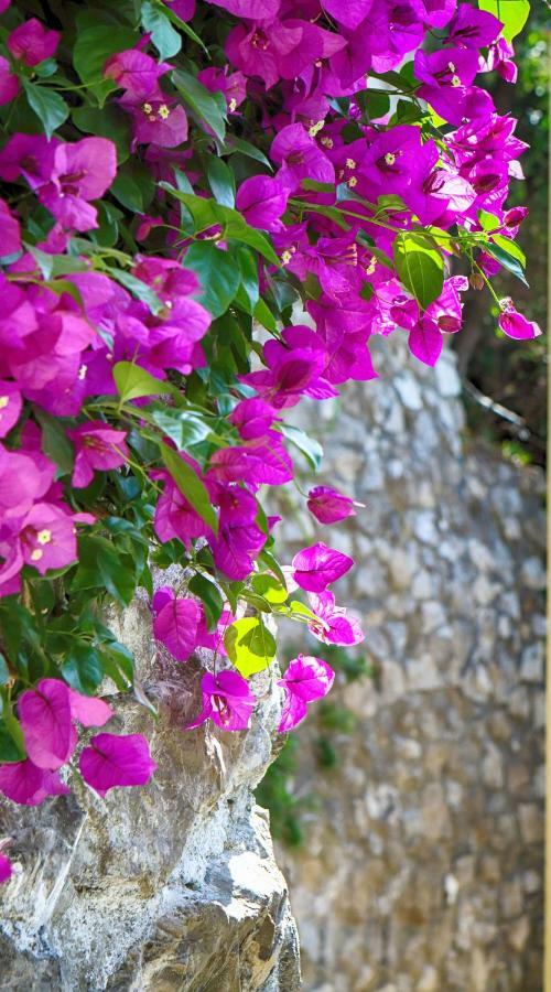 Positano Holidays Bagian luar foto