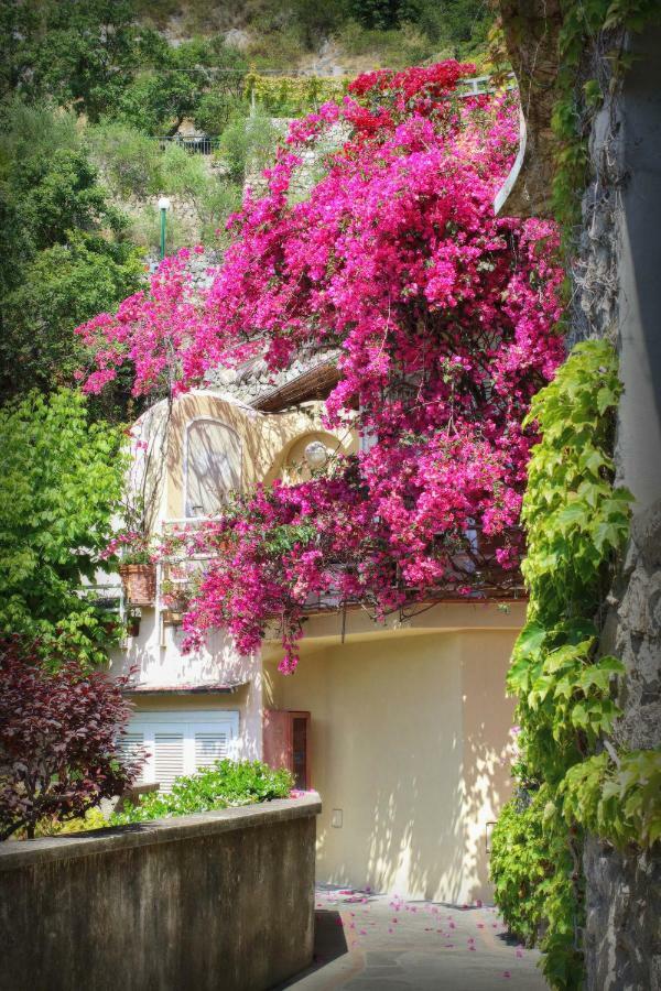 Venus Apartment Positano Bagian luar foto