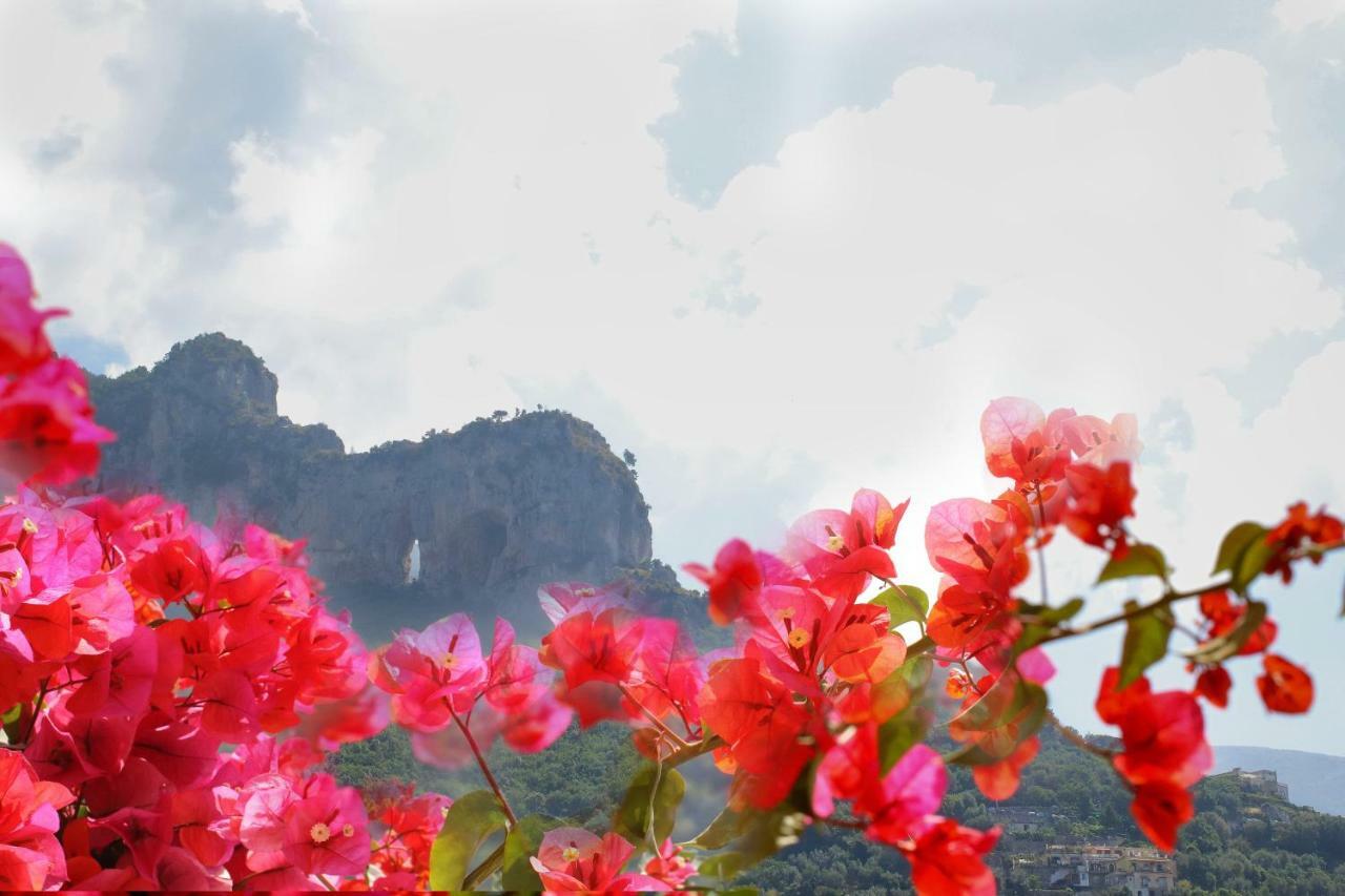 Venus Apartment Positano Bagian luar foto